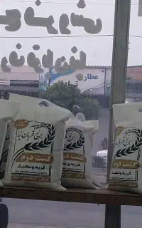 برنج هاشمی فریدون کنار