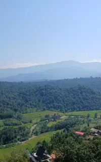 کد تخفیف ازکی