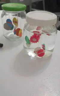 رزومه و درخواست همکاری