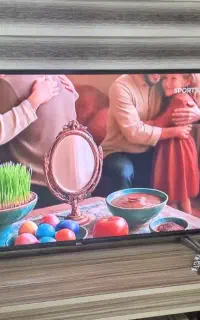 تلویزیون مارشال