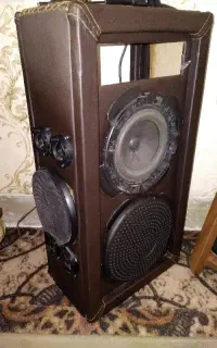 سوپرتوییتر و ساب پایونر