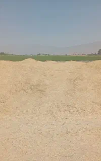 با سلام مقدار ده تن کاه گندم