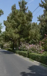 اخذ پایانکار -پروانه-کلیه امور اداری ساختمان