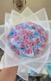 گل ربانی