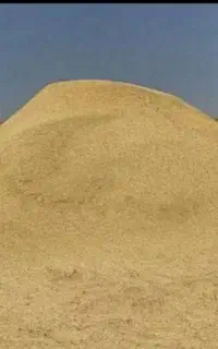 کاه گندم تازه و ریز
