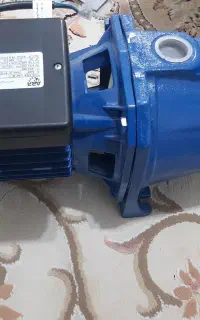 کارواش یک اسب قوی