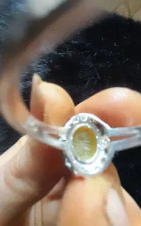 حراج انگشترشرف الشمس