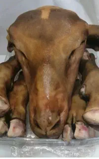 پاک کردن کله پاچه کاملابهداشتی ۲۵۰