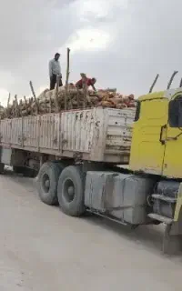 چوب گردو با بالاترین قیمت میگیرم 15ooo t