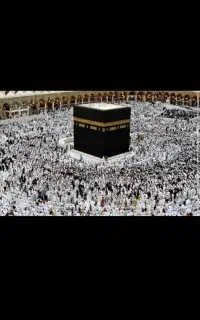 فروش فیش حج تمتع