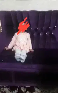 مبل