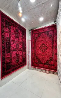 پخش کننده فرش اقتصادی آکبند