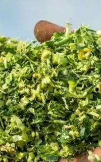 سیلو ذرت مکزیکی چین اول با بهترین کیفیت