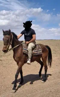 مادیون تروبردخارجی