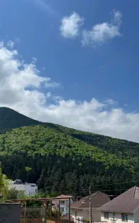 استخدام منشی خانم در  مشاور املاک