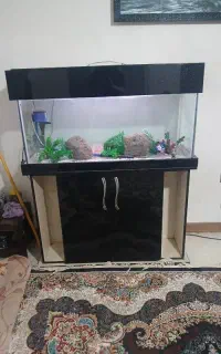 اکواریوم با وسایل