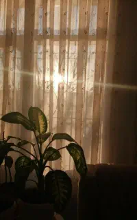 سند خونه برای بدهکار مالی