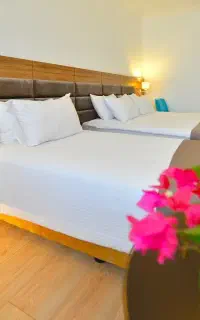 تورویژه ی فروردین