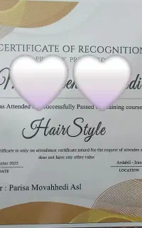 آموزش شنیون