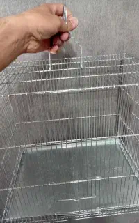 قفس