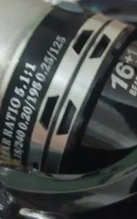 لنسر ماهیگیری