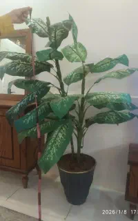 درخچه مصنوعی