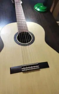 گیتار دوستی