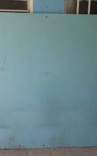 نئوپان