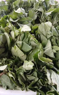 فروش نشا محلی