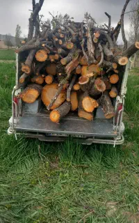 خرید انواع چوب