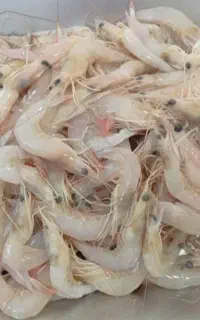 پوست کندن میگو