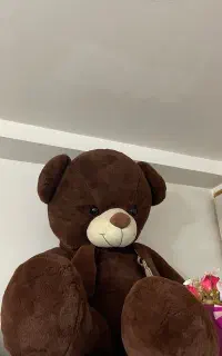 خرس یک متری