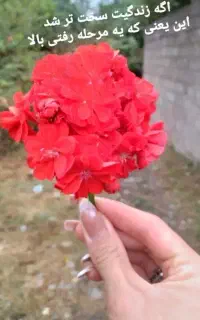 بیمه عمر و آتیه پاسارگاد با پوشش جنگ