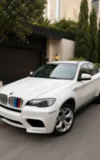 BMW X6 2010