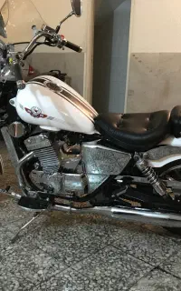 رگال رپتور فالکن