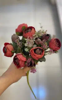 گل بوته ای