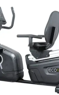 دوچرخه نسشته پشتی دار