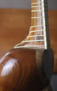 ساز استاد مسعود مصلی نژاد