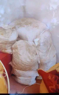فروش خاک کمپوست قارچ
