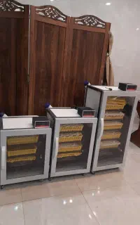 دستگاه جوجه کشی ققنوس هوشمند