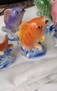 ماهی های دکوری شیک