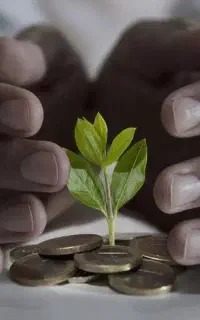 پول خود را چند برابر کن