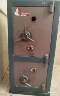 گاو صندوق