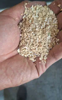 جو دو سر پرک