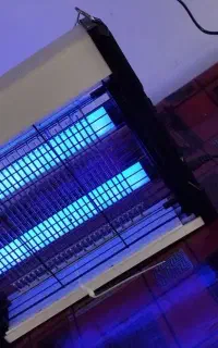 پشه کش برقی