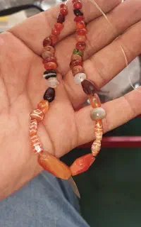 مهرها پوست پیازی گهنه