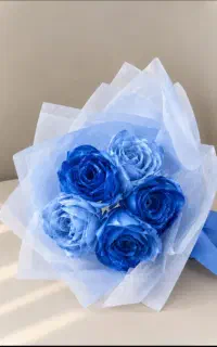 گل روبانی