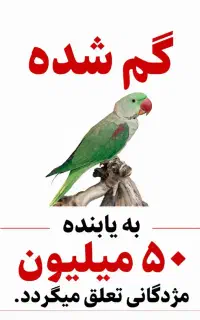 شاه طوطی گمشده/۳۰مرداد/هپی/ مژدگانی ۵۰ میلیونی