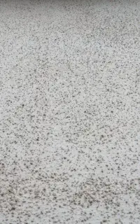 سیمانکار و بنا