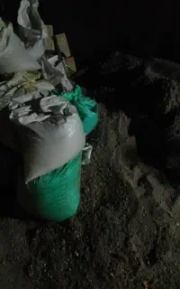 ماسه